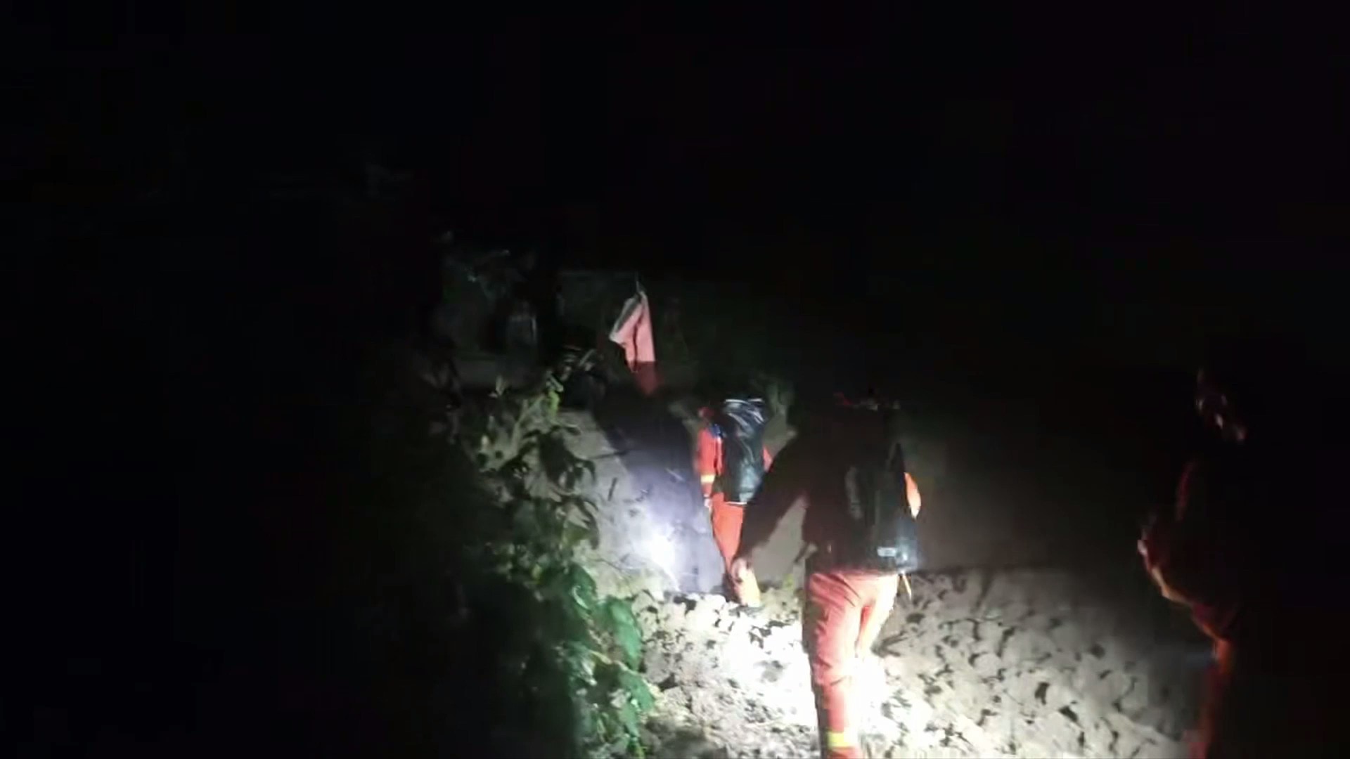 夜间寻找 (1).jpg