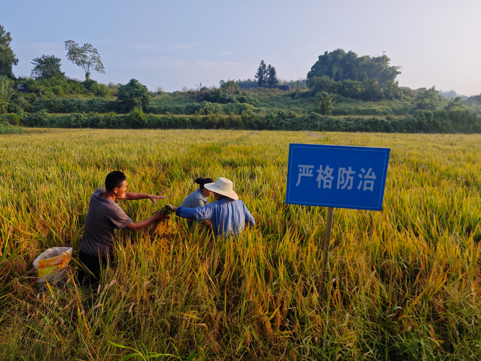 专家组开展测评。 拍摄:吴建华.jpg