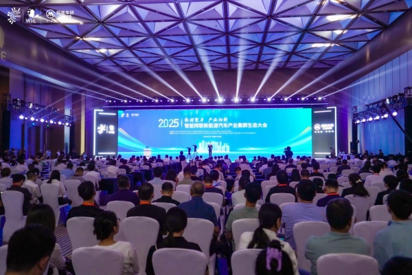 大会现场。主办方供图