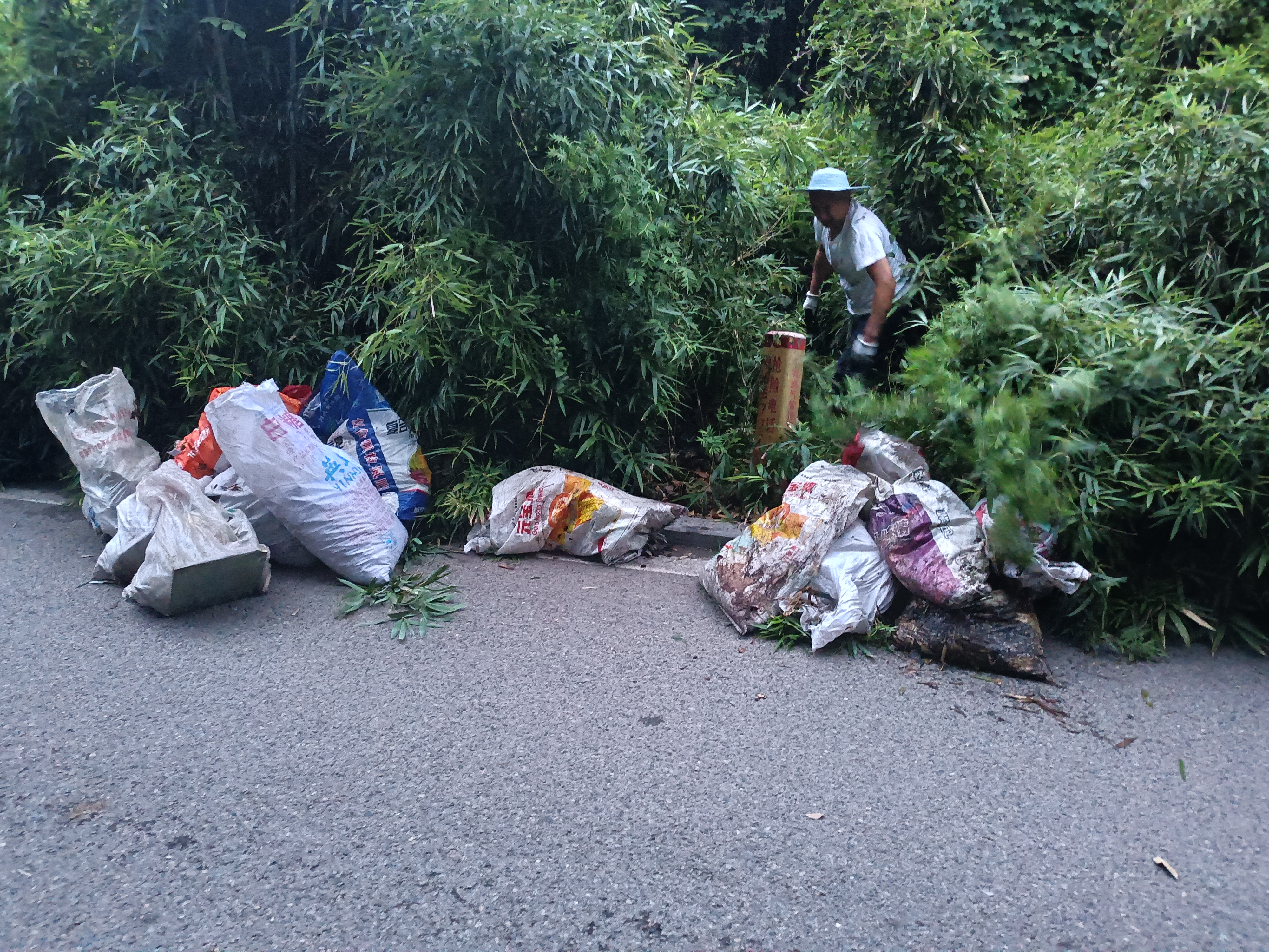 二社区清理五层坎老街绿化带.jpg 二社区清理五层坎老街绿化带.jpg