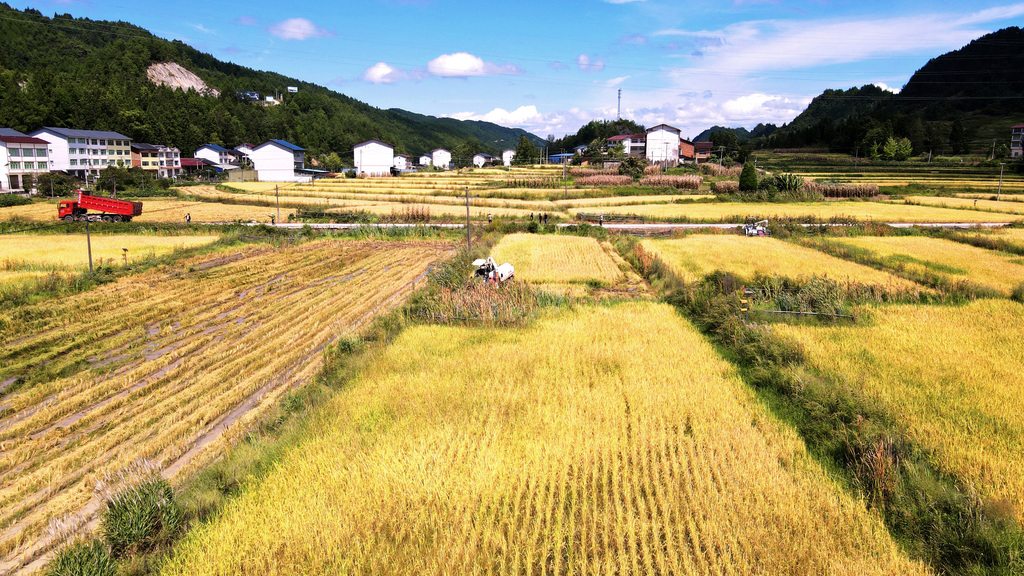 微信图片_20250922175428_427_26