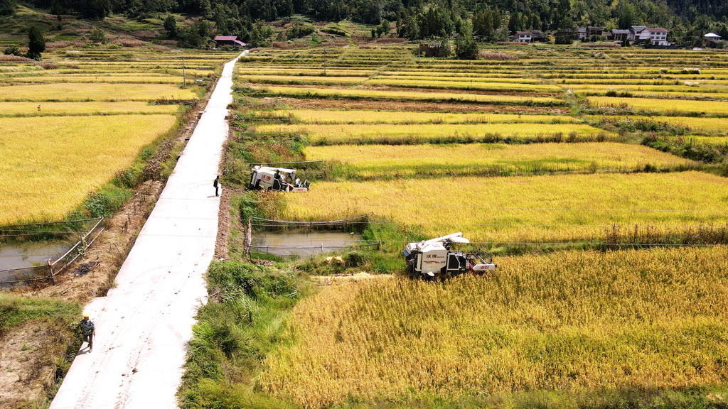 微信图片_20250922175429_428_26