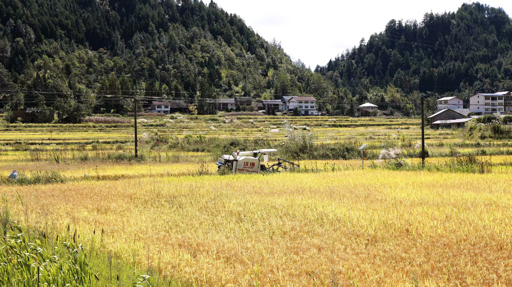 微信图片_20250922175450_433_26