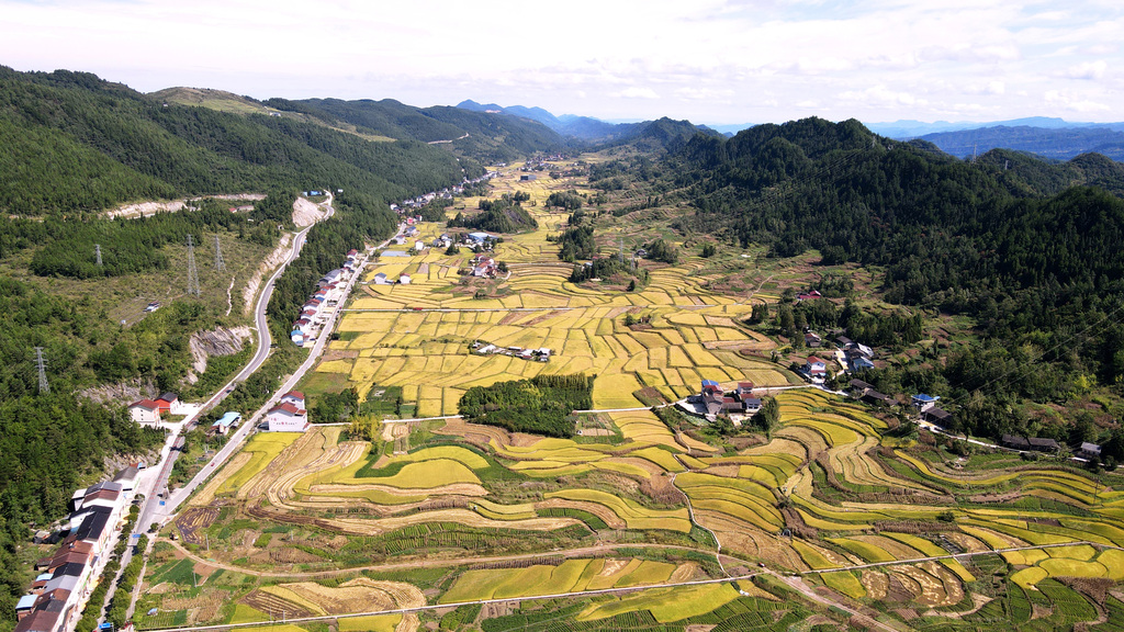 微信图片_20250922175435_431_26