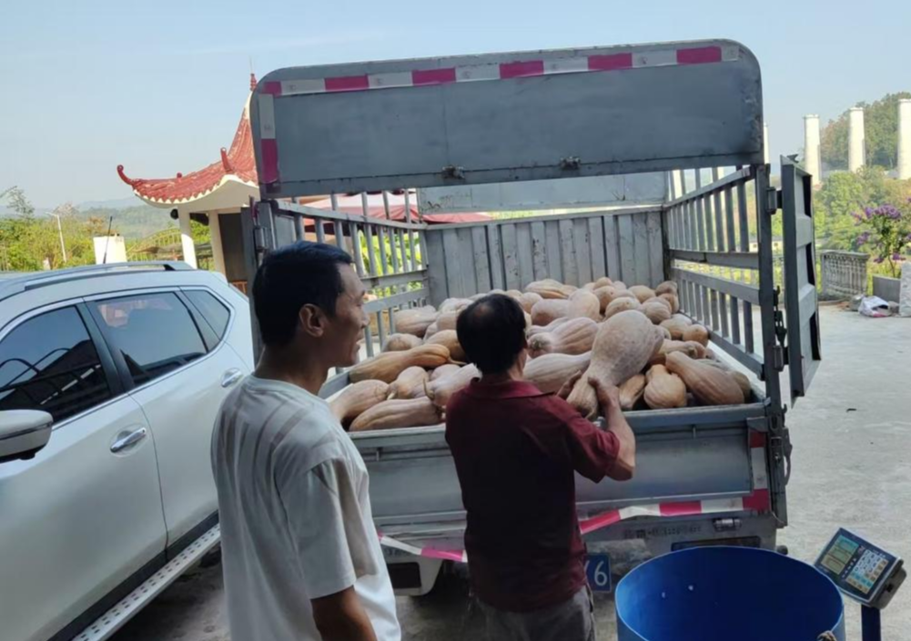 1759202910277.png 1759202910277.png