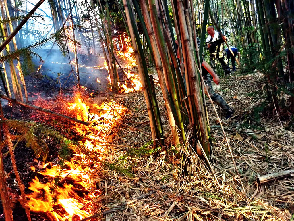 参与其他区县森林扑灭工作 (1)