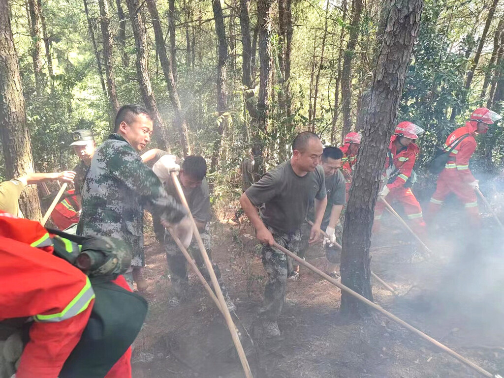 参与其他区县森林扑灭工作