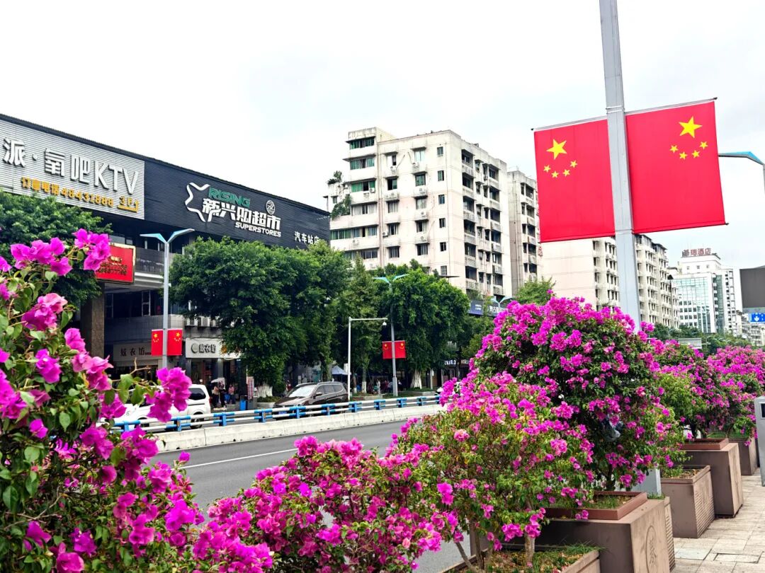 九龙大道两旁鲜花与国旗相映成趣(4602736)-20250925113933.jpg