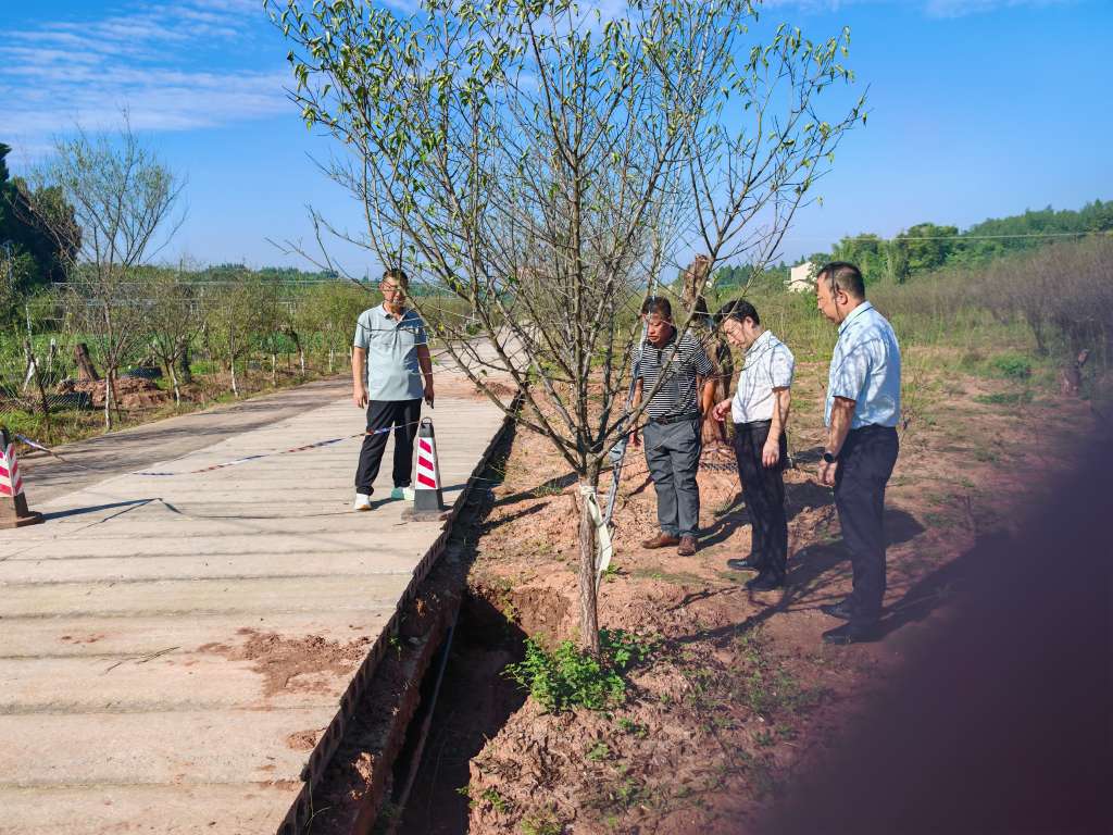 代表调研梅花基地 (1).jpg
