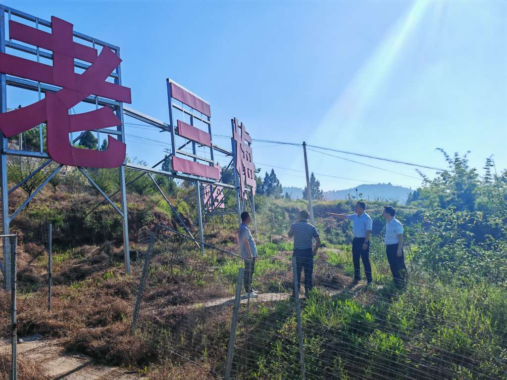 代表调研梅花基地 (2).jpg