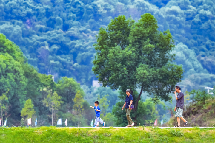 市民步行在陶家镇九龙村乡村。记者 曹鸣鸥 摄.jpeg