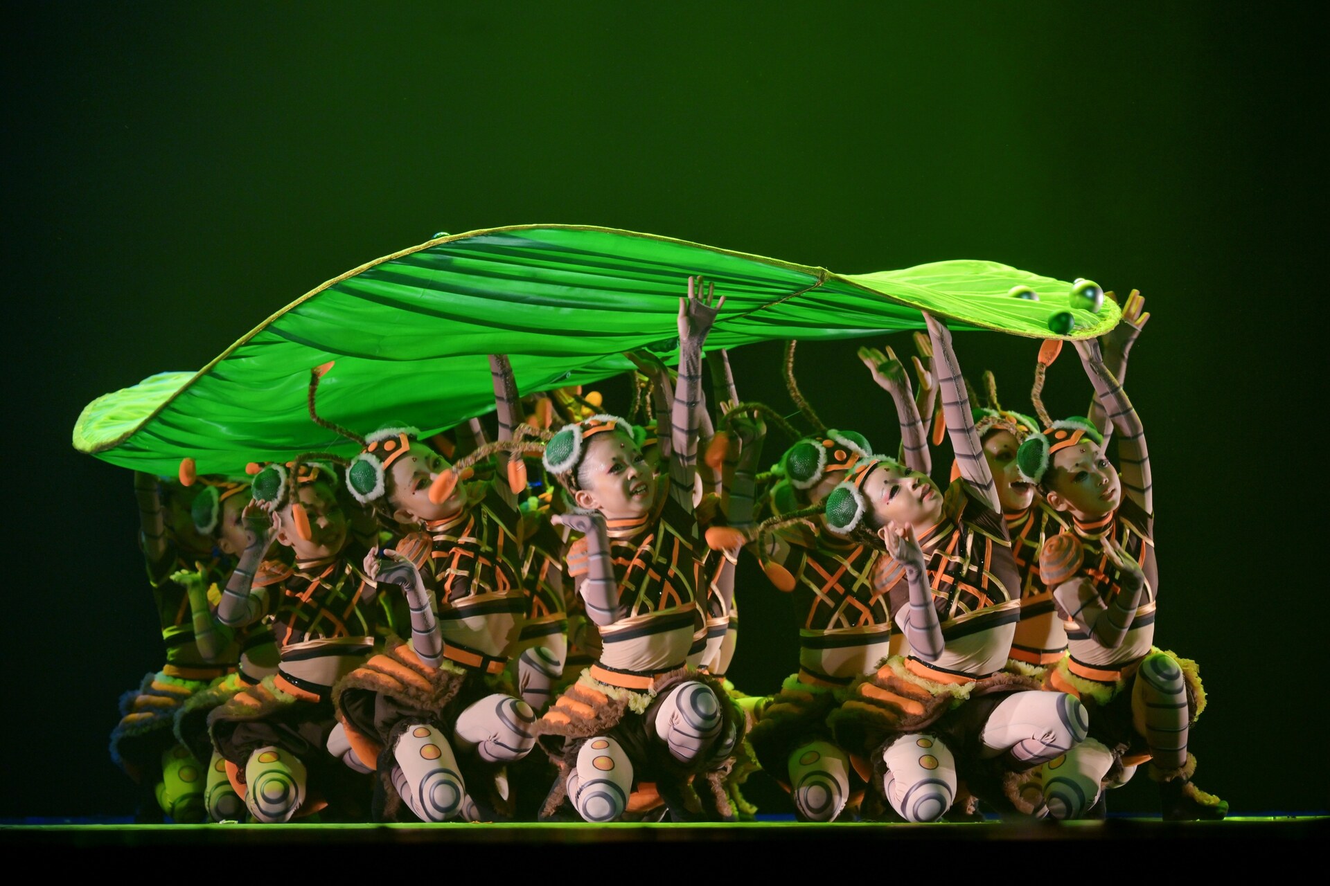 群舞《青山村》