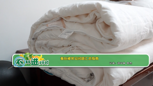 【农科进行时】蚕丝被常见问题汇总指南