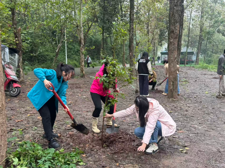 三条   植树现场。.jpg