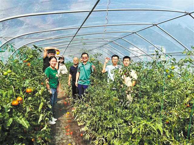 202511133ce042986d3c4eb79d1467a8a7c3b1d5_202511133df6069285ed4bf8a26052ee696942c4 (1).jpg