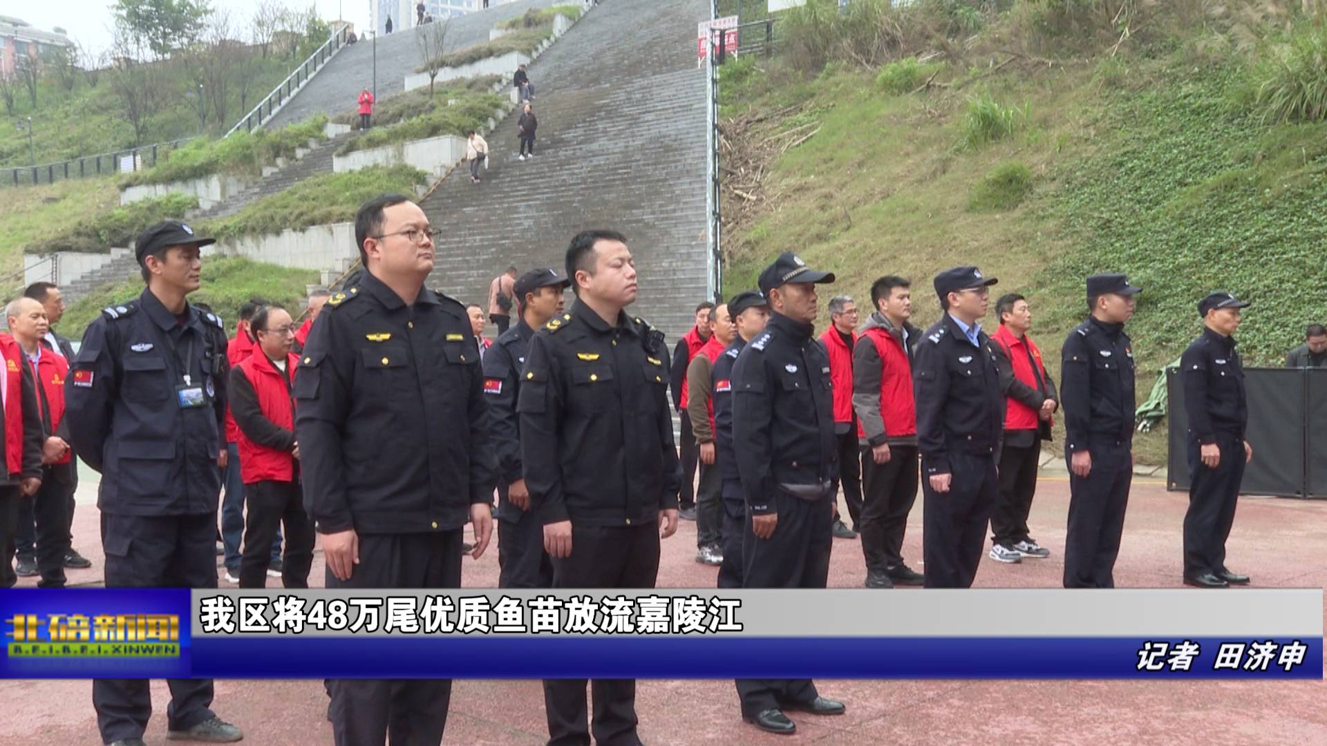 我区将48万尾优质鱼苗放流嘉陵江