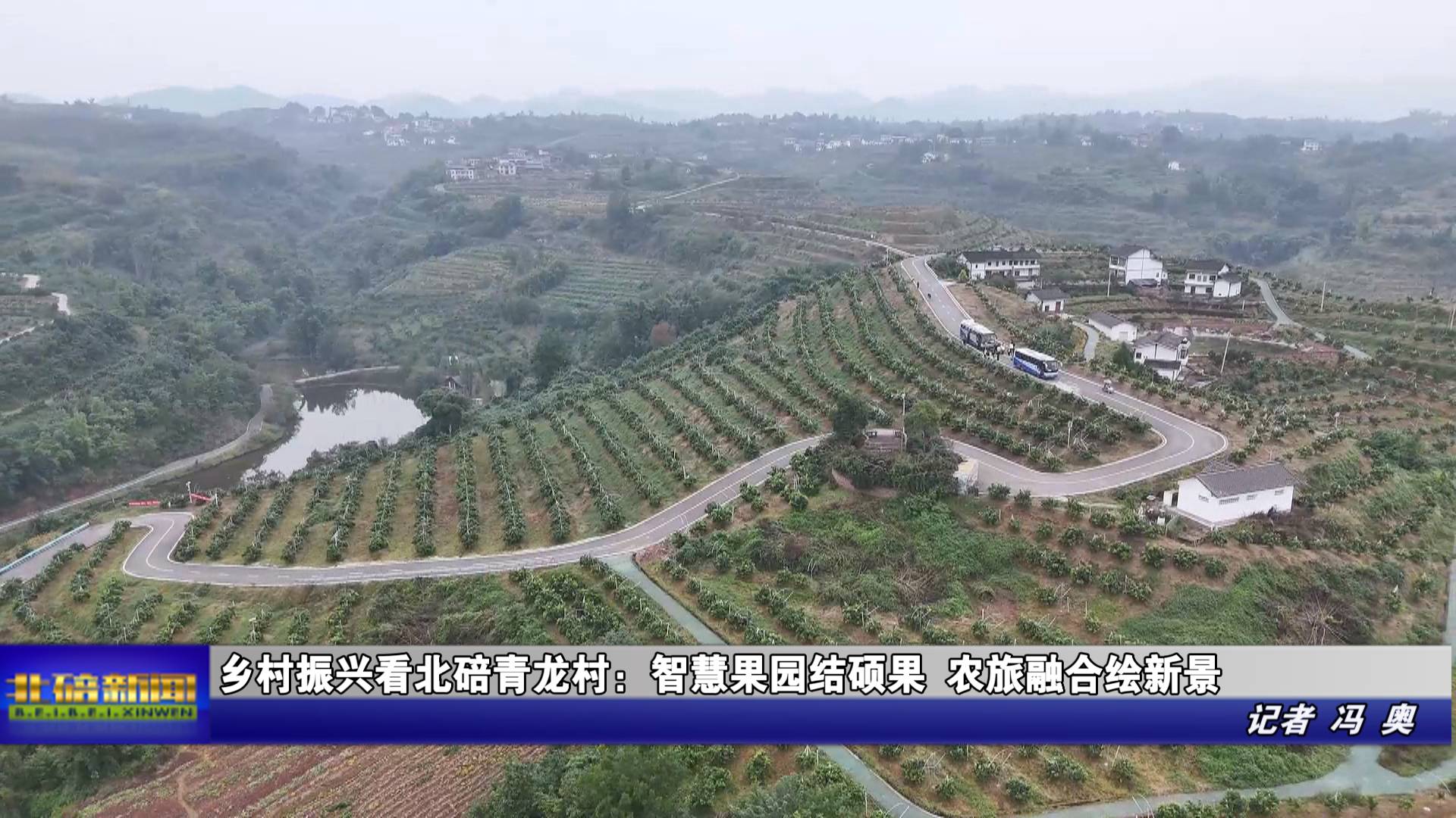 乡村振兴看北碚青龙村：智慧果园结硕果 农旅融合绘新景