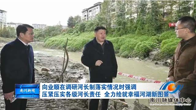 向业顺在调研河长制落实情况时强调 压紧压实各级河长责任 全力绘就幸福河湖新图景