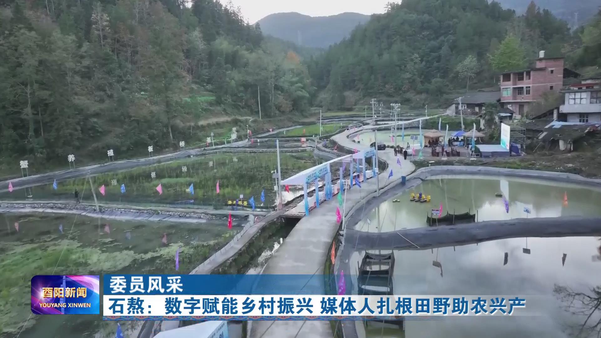 石熬：数字赋能乡村振兴 媒体人扎根田野助农兴产