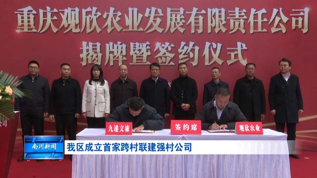 我区成立首家跨村联建强村公司