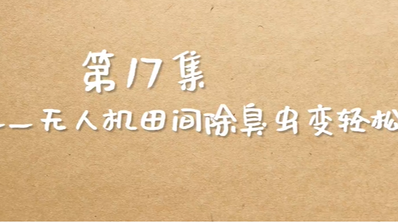 AI助力 无人机田间除臭虫变轻松