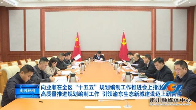 向业顺在全区“十五五”规划编制工作推进会上指出 高标准高质量推进规划编制工作 引领渝东生态新城建设迈上新台阶
