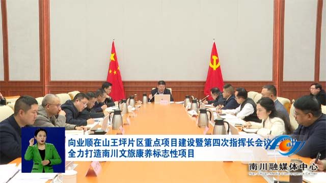 向业顺在山王坪片区重点项目建设暨第四次指挥长会议上指出 全力打造南川文旅康养标志性项目