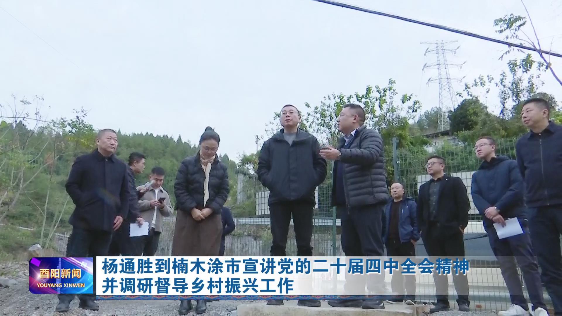 杨通胜到楠木涂市宣讲党的二十届四中全会精神并调研督导乡村振兴工作