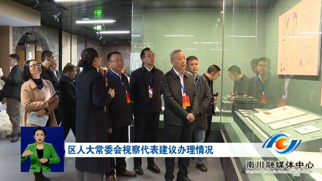 区人大常委会视察代表建议办理情况