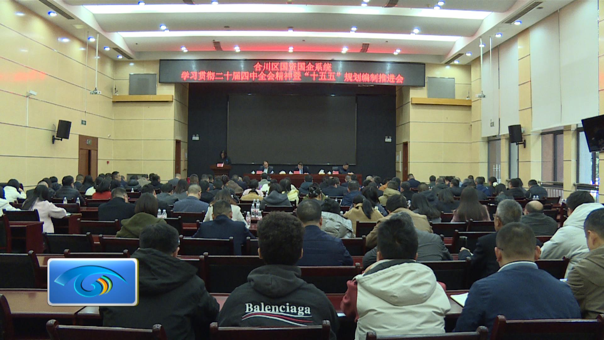 合川区召开国资国企系统学习贯彻党的二十届四中全会精神暨“十五五”规划编制推进会