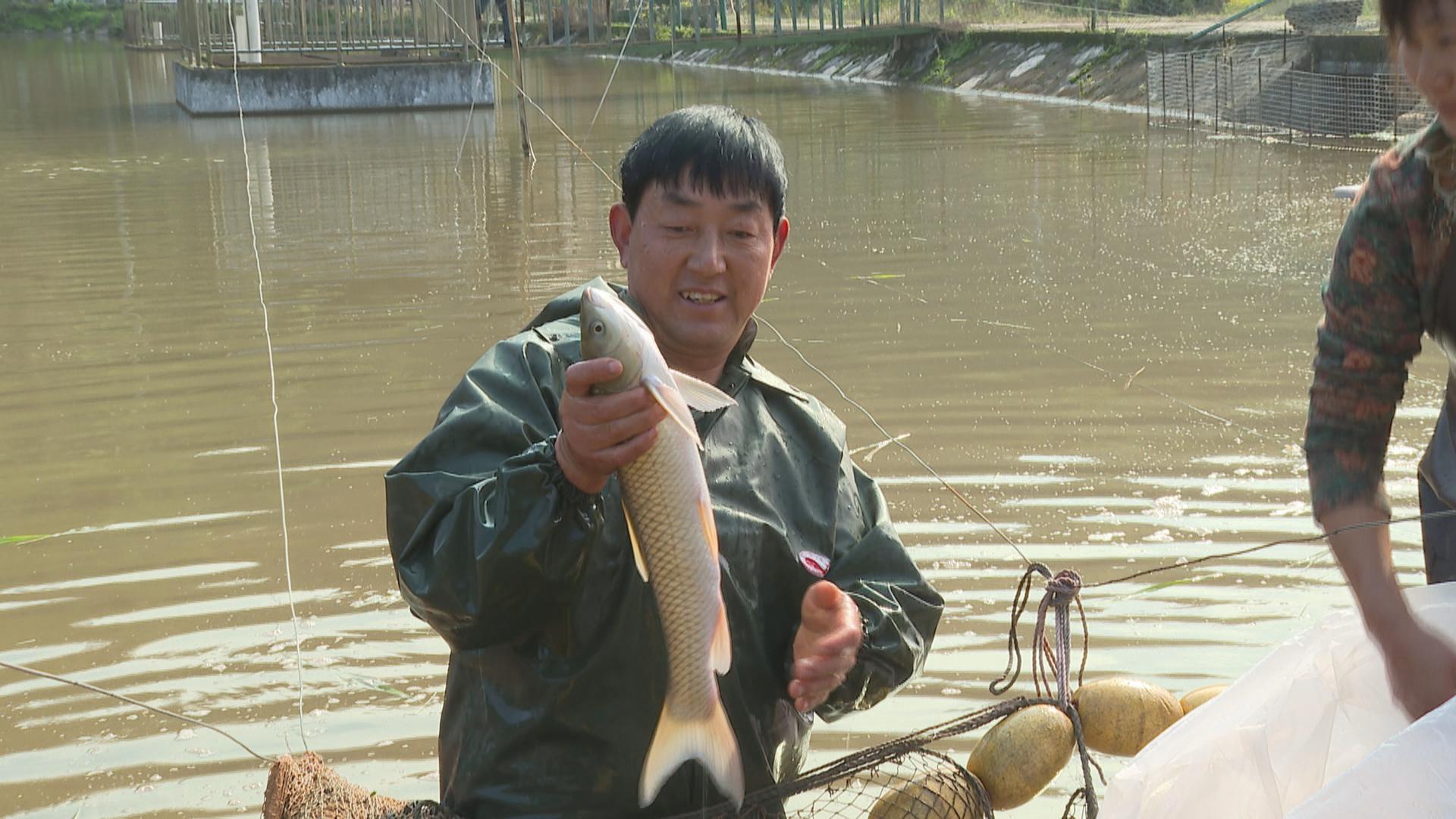 瘦身鱼冬捕鱼满仓