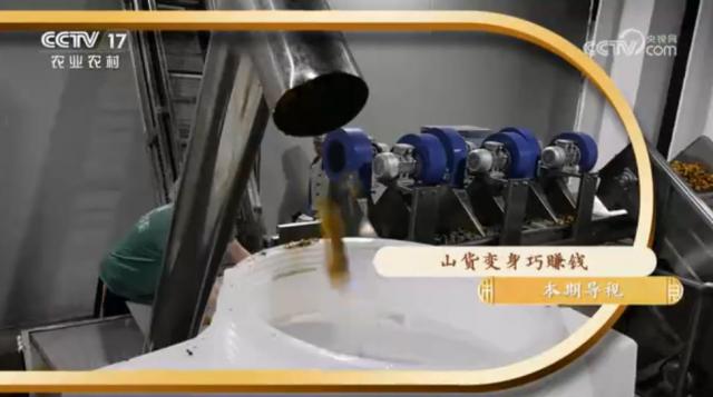 《共富经》山货变身巧赚钱