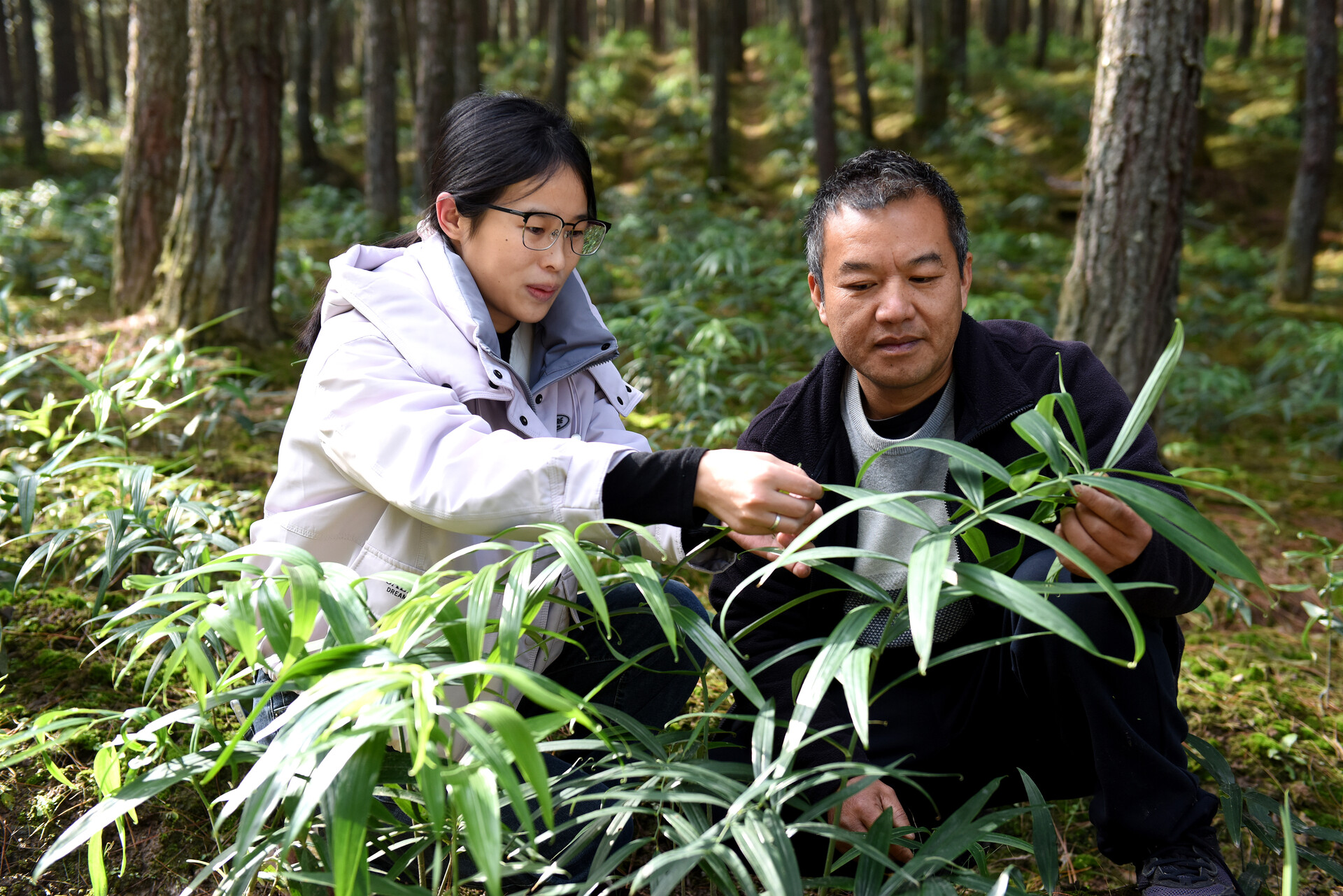 7a41a787d0d4bb432d9a6f36938e0c4d_c8b7e6dac4a148ffa858d1d5986a91fd_wh1920x1281.jpg 7a41a787d0d4bb432d9a6f36938e0c4d_c8b7e6dac4a148ffa858d1d5986a91fd_wh1920x1281.jpg