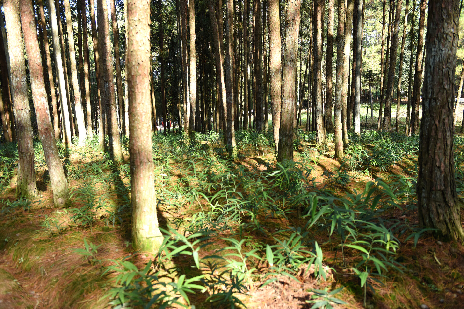 a22a08a1485b516b9351ef7201fe2158_015a67da42554d26bd548fb9d084103e_wh1920x1281.jpg a22a08a1485b516b9351ef7201fe2158_015a67da42554d26bd548fb9d084103e_wh1920x1281.jpg