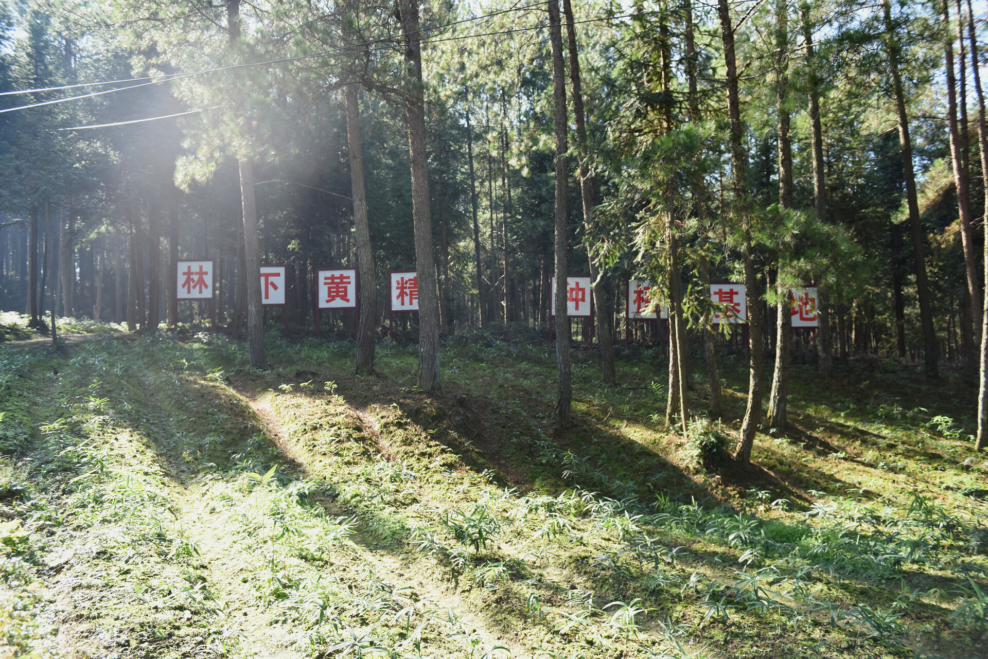 ddde3cc7f384c69c2c5df629b60af522_6ae0e713ccd04130989723363a7276ee_wh1920x1281.jpg ddde3cc7f384c69c2c5df629b60af522_6ae0e713ccd04130989723363a7276ee_wh1920x1281.jpg