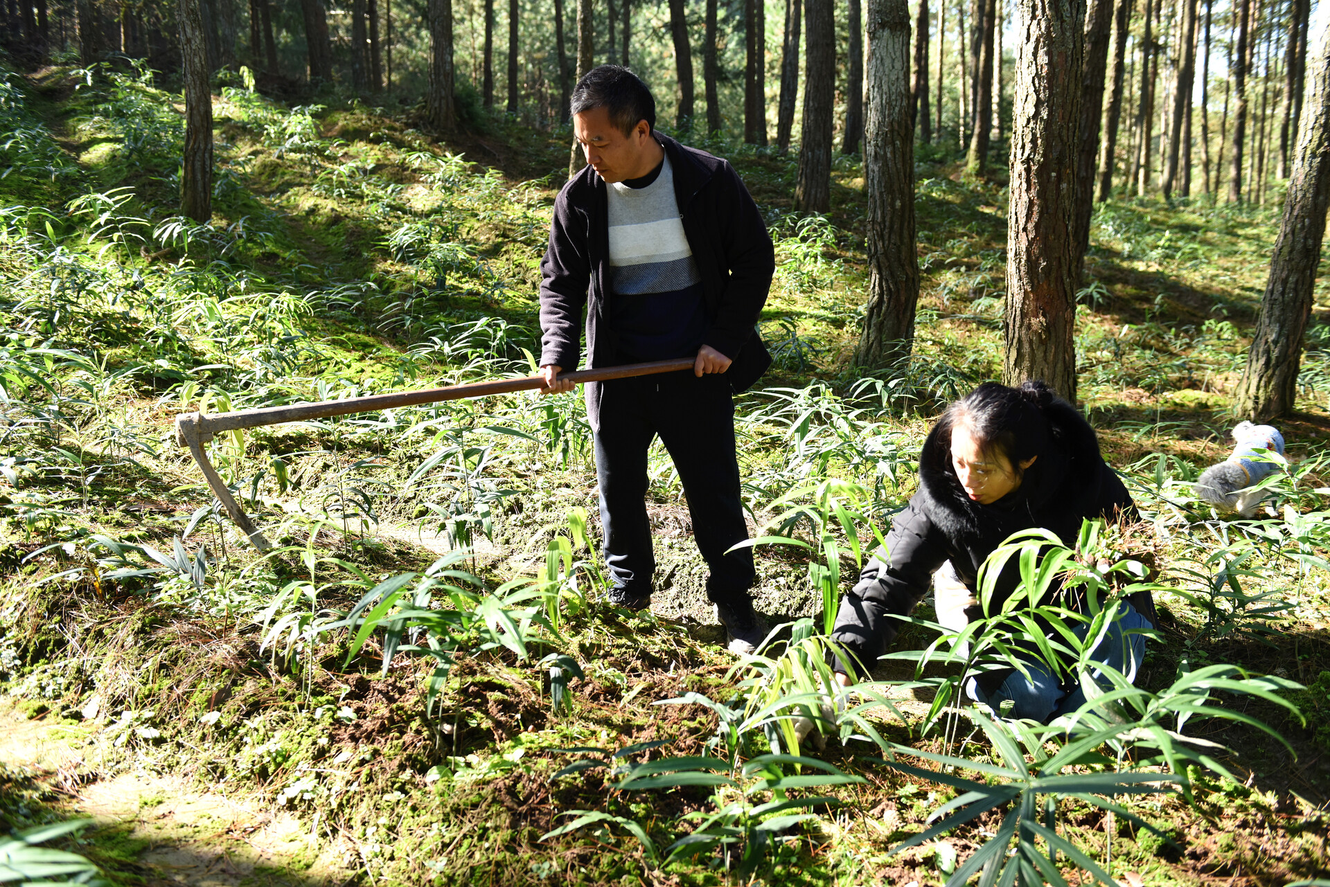 fa0c49d1ffb61473f7bd3c0428a5eec8_2c268bc99e53459da3d7e338ce5c8e56_wh1920x1281.jpg fa0c49d1ffb61473f7bd3c0428a5eec8_2c268bc99e53459da3d7e338ce5c8e56_wh1920x1281.jpg