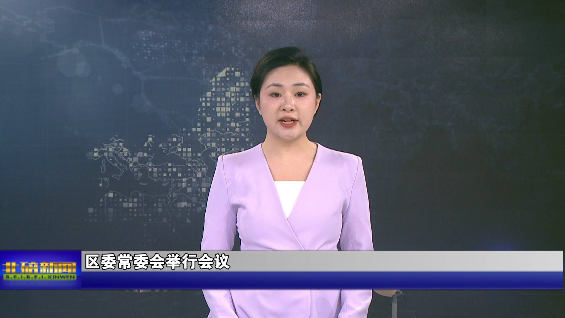 区委常委会举行会议