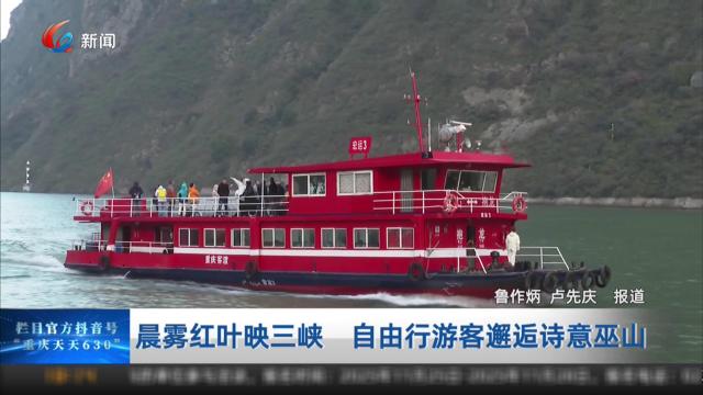 晨雾红叶映三峡 自由行游客邂逅诗意巫山