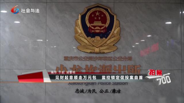 见财起意顺走万元包 监控锁定促投案自首