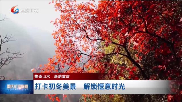 打卡初冬美景 解锁惬意时光