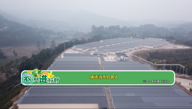 【农科进行时】猪场消杀机器人