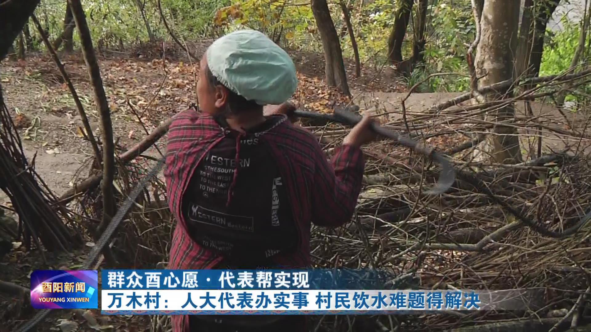 万木村：人大代表办实事 村民饮水难题得解决