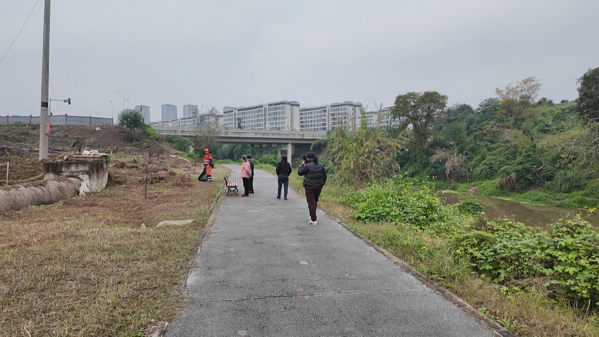 今日关注·回音：违规菜地“清零” 公共空间焕新