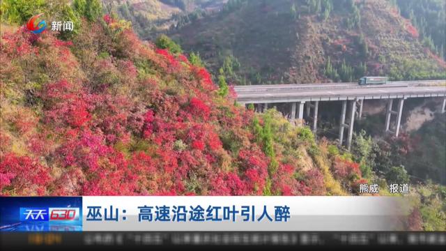 巫山：高速沿途红叶引人醉