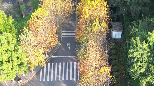 重庆三峡学院：五彩斑斓 诗意校园
