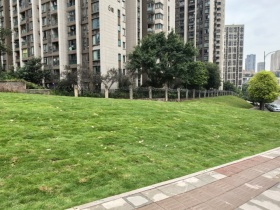 九龙民声 | 云龙大道北侧空地焕新颜 民生福祉再升级