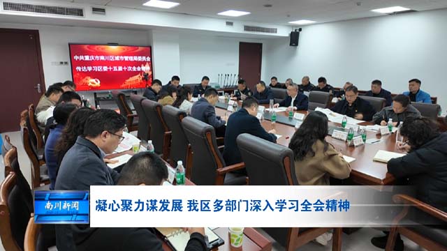 凝心聚力谋发展 我区多部门深入学习全会精神