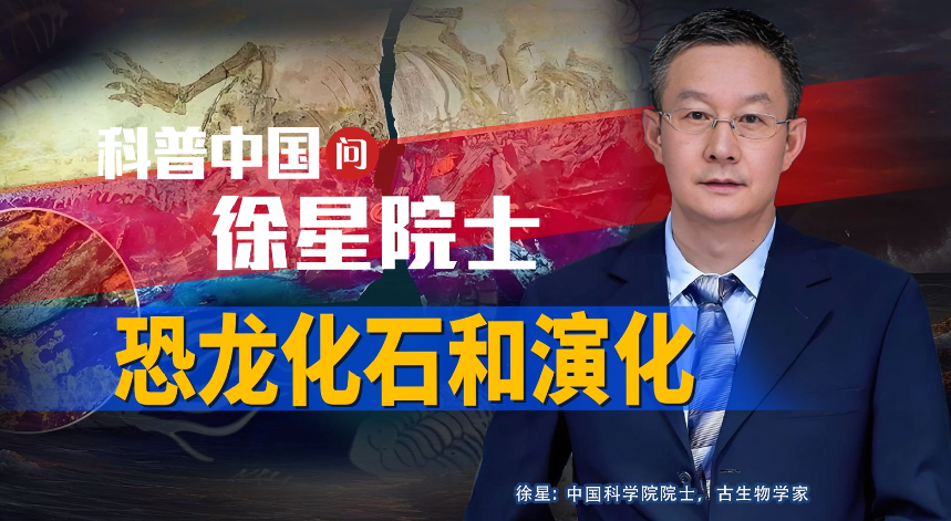 科普中国问徐星院士恐龙化石和演化
