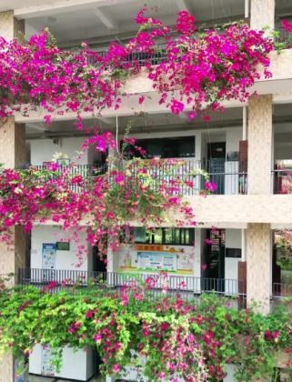 万州红光南滨小学：冬虽至 “春意”浓