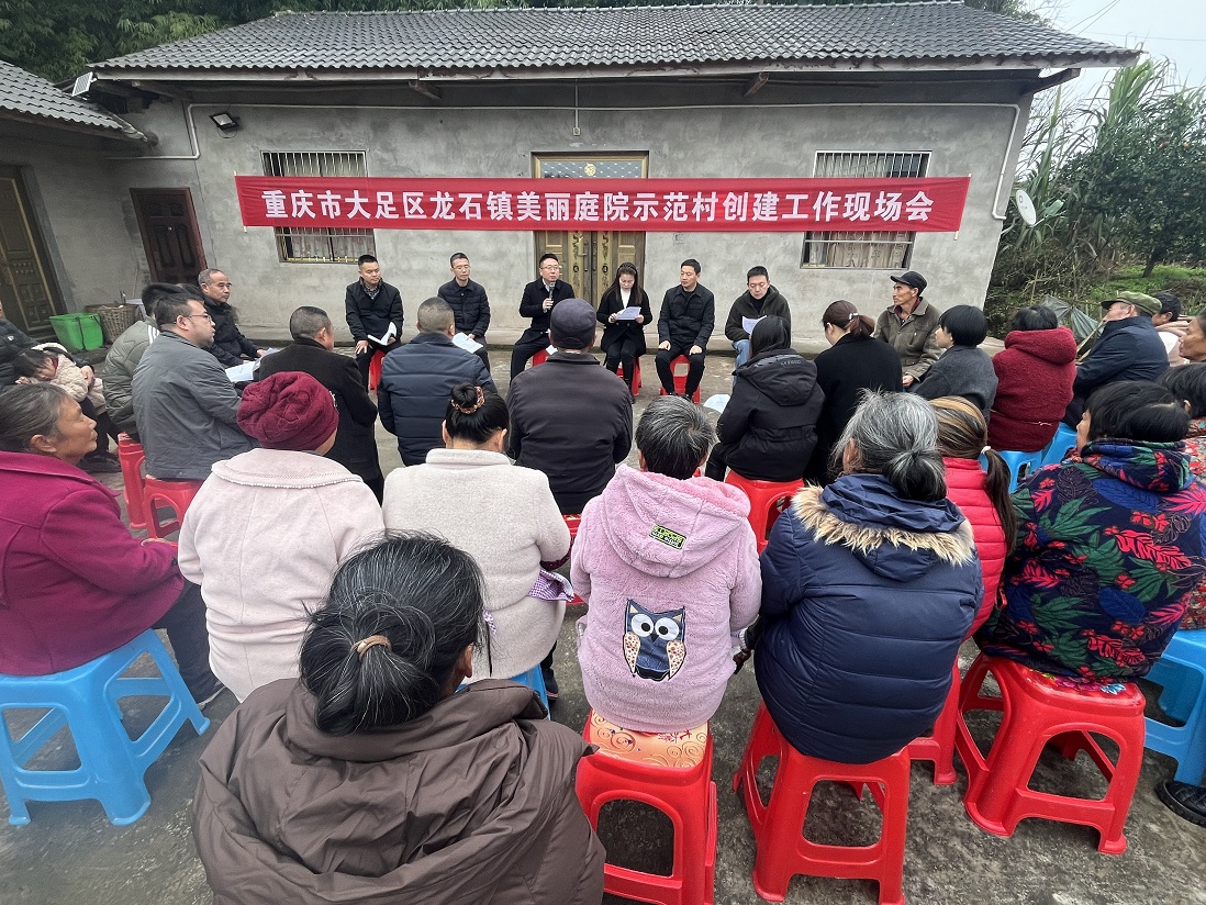 12月4日，大足区龙石镇在凤凰村召开美丽人居环境建设动员会。通讯员 彭远琴 供图.jpg
